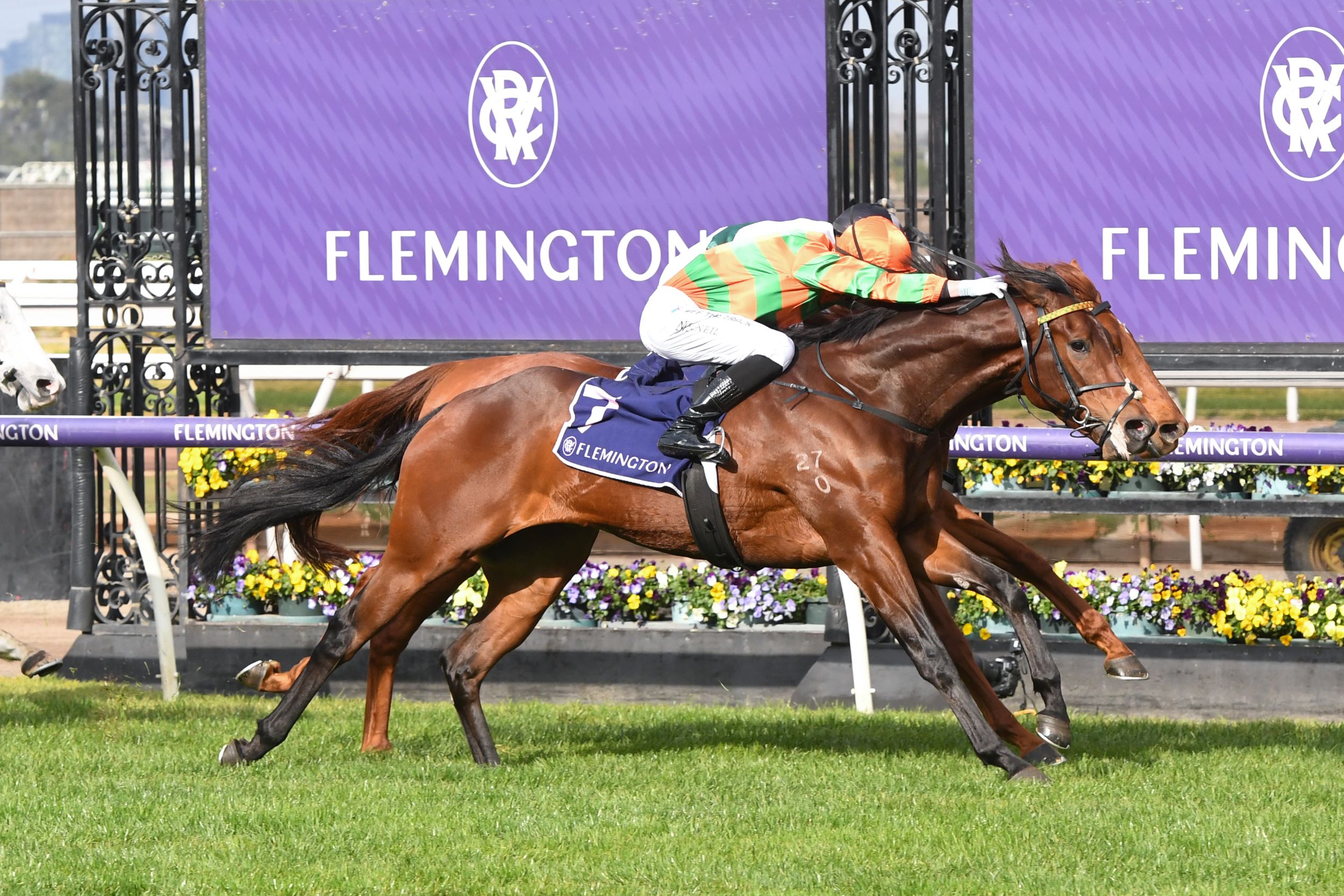 Flemington Finals Race Day - Racing Undercard