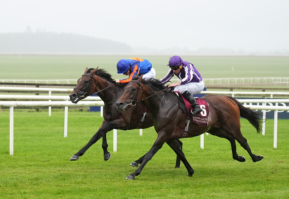 From Curragh Cup to Melbourne Cup?