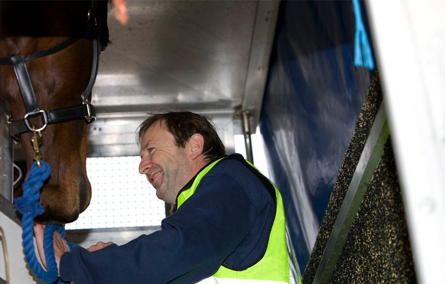 Transporting horses with care around the world