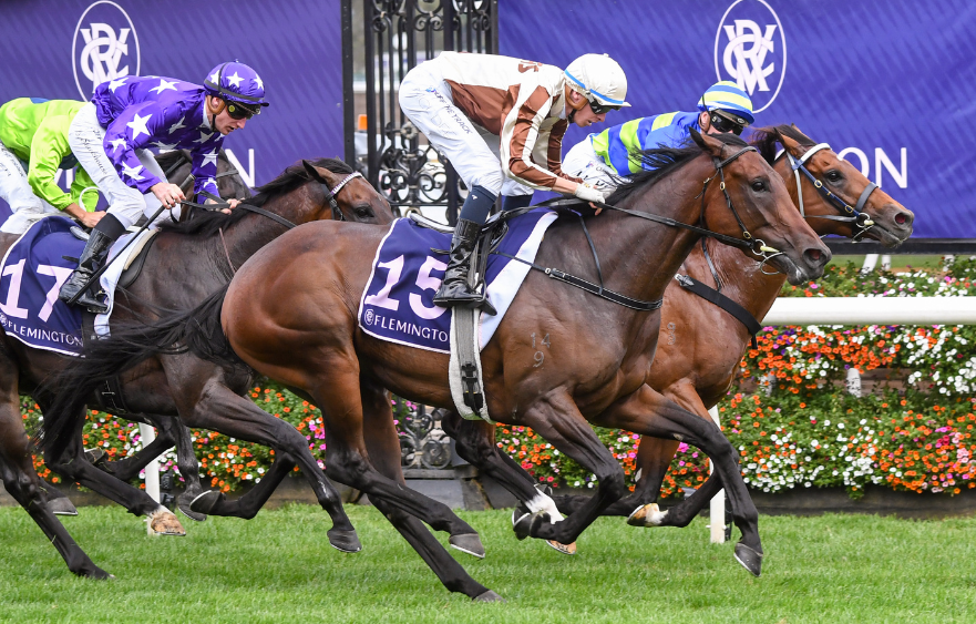Stars are born in the Australian Guineas