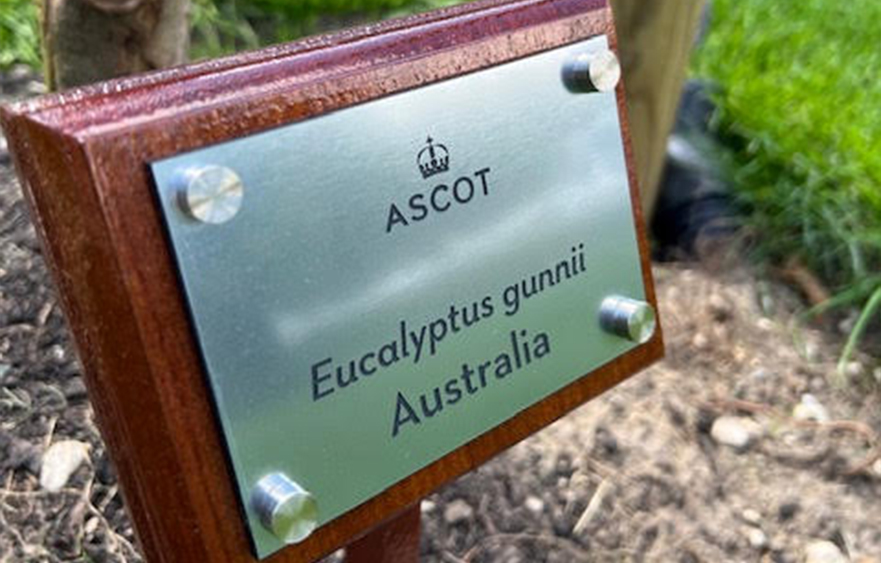 Commemorating a connection