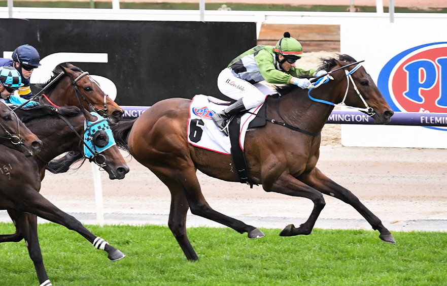 Spring stepping stone