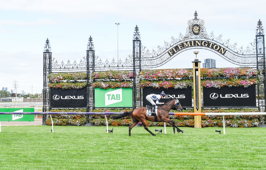 Goldman claims golden ticket into Lexus Melbourne Cup
