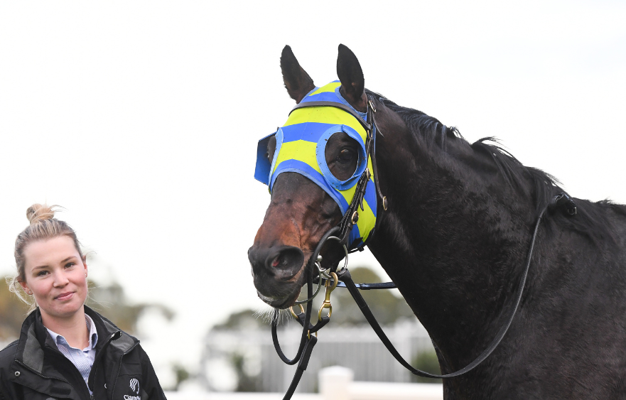 Sir Davy's first start at Flemington