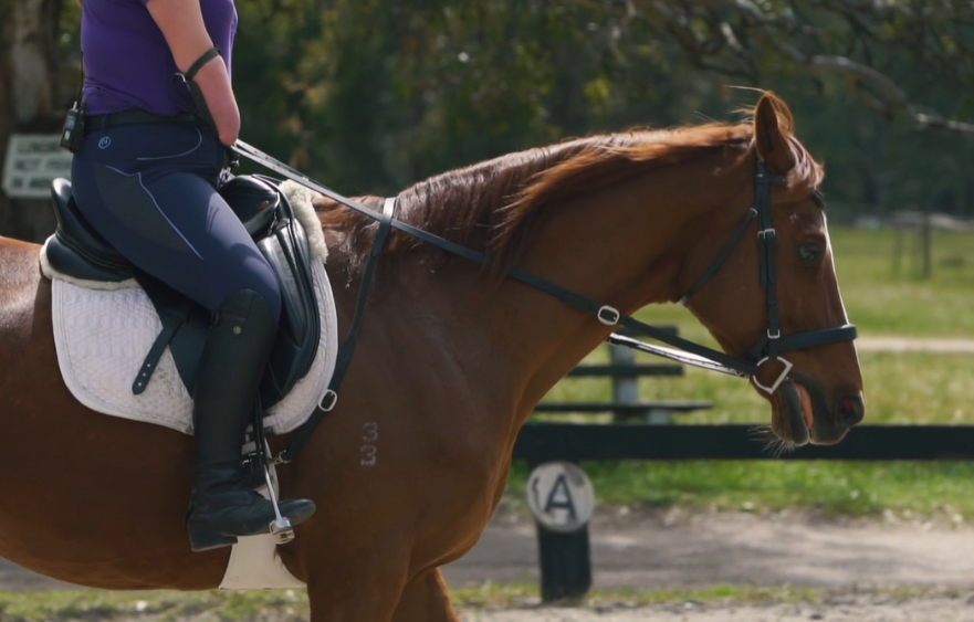 RDA fostering special bonds