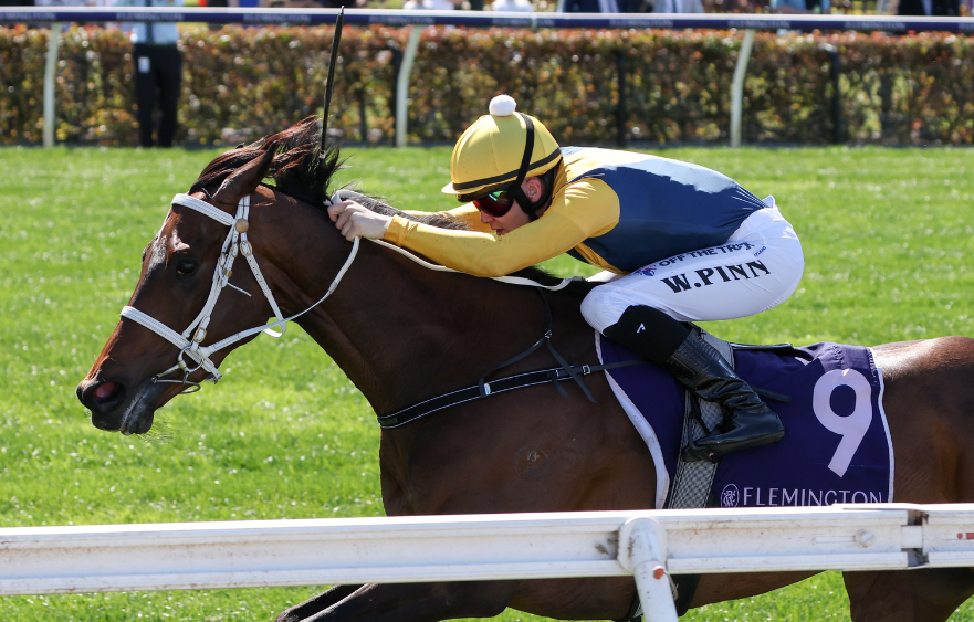 Mostly Cloudy chasing Lexus Melbourne Cup start