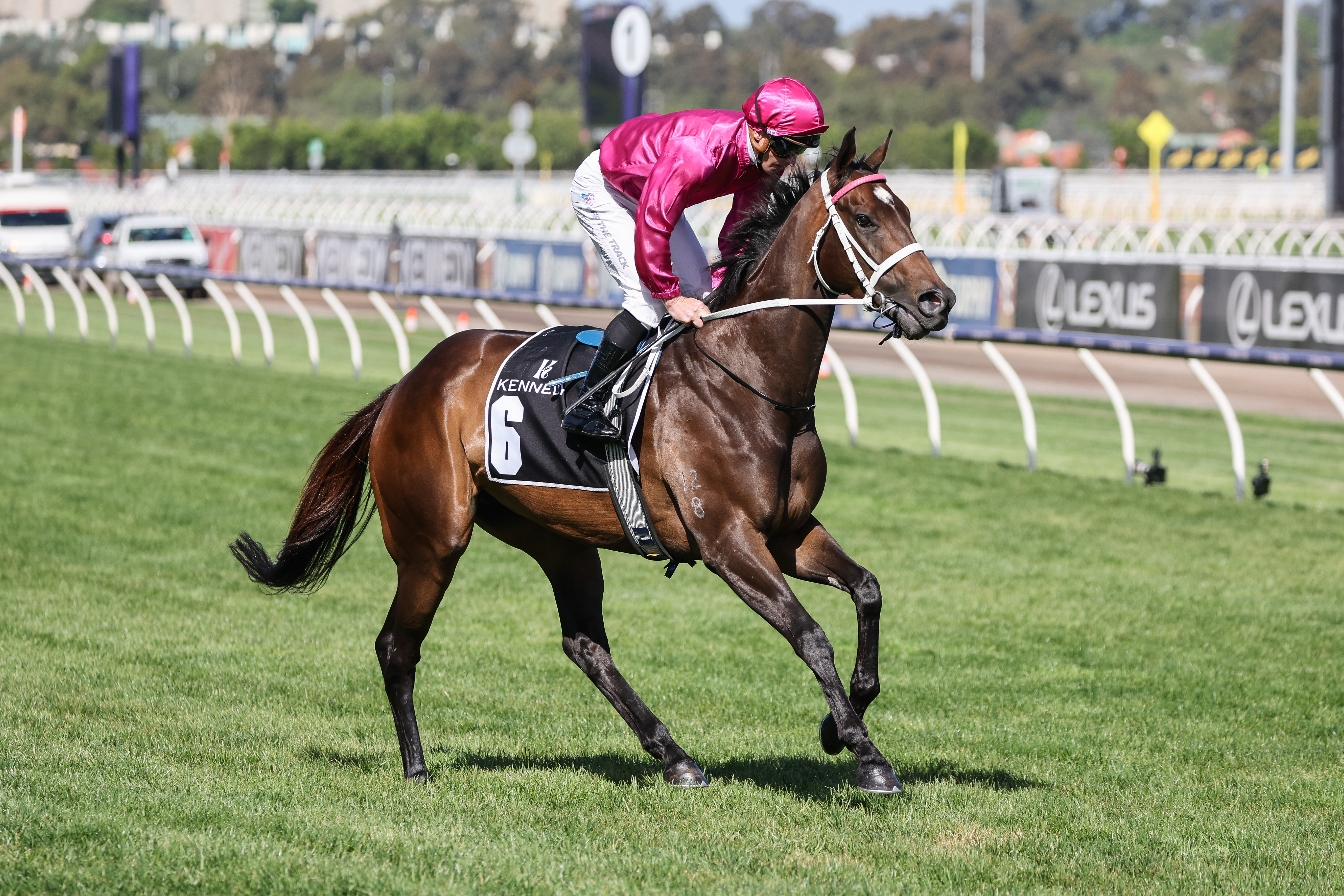 Fangirl to bounce back in the VRC Champions Mile