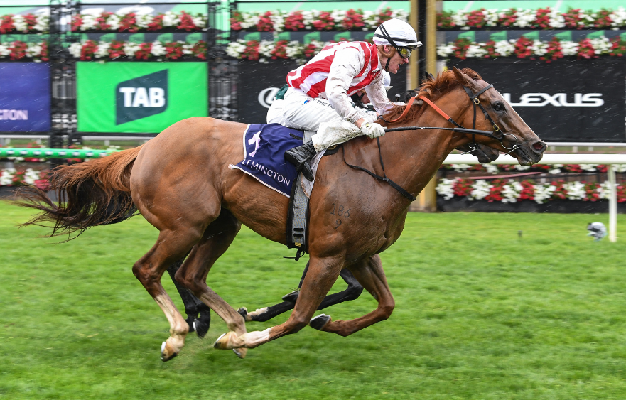 Giga Kick poised to sizzle in Lightning