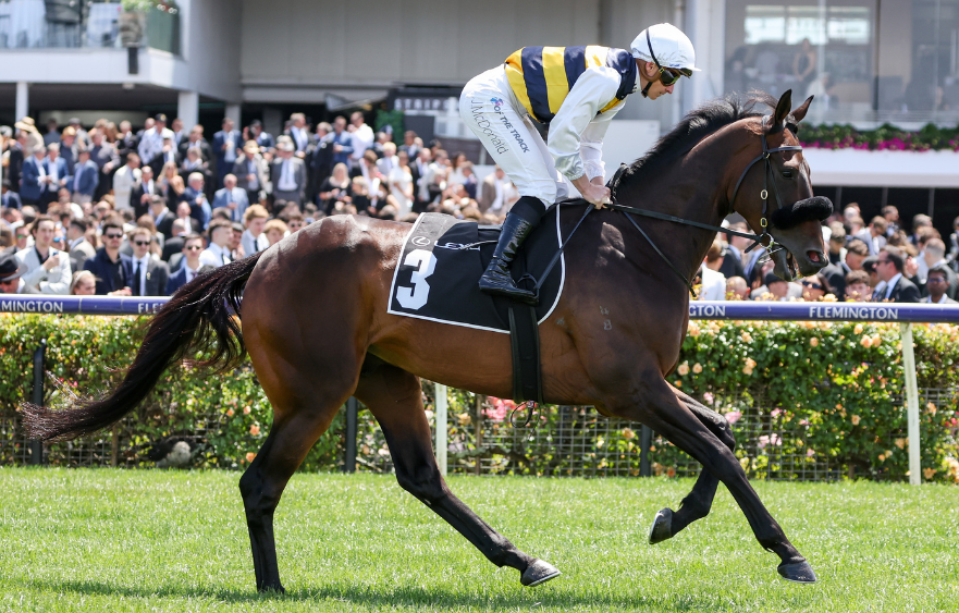 Melbourne Cup start up for grabs