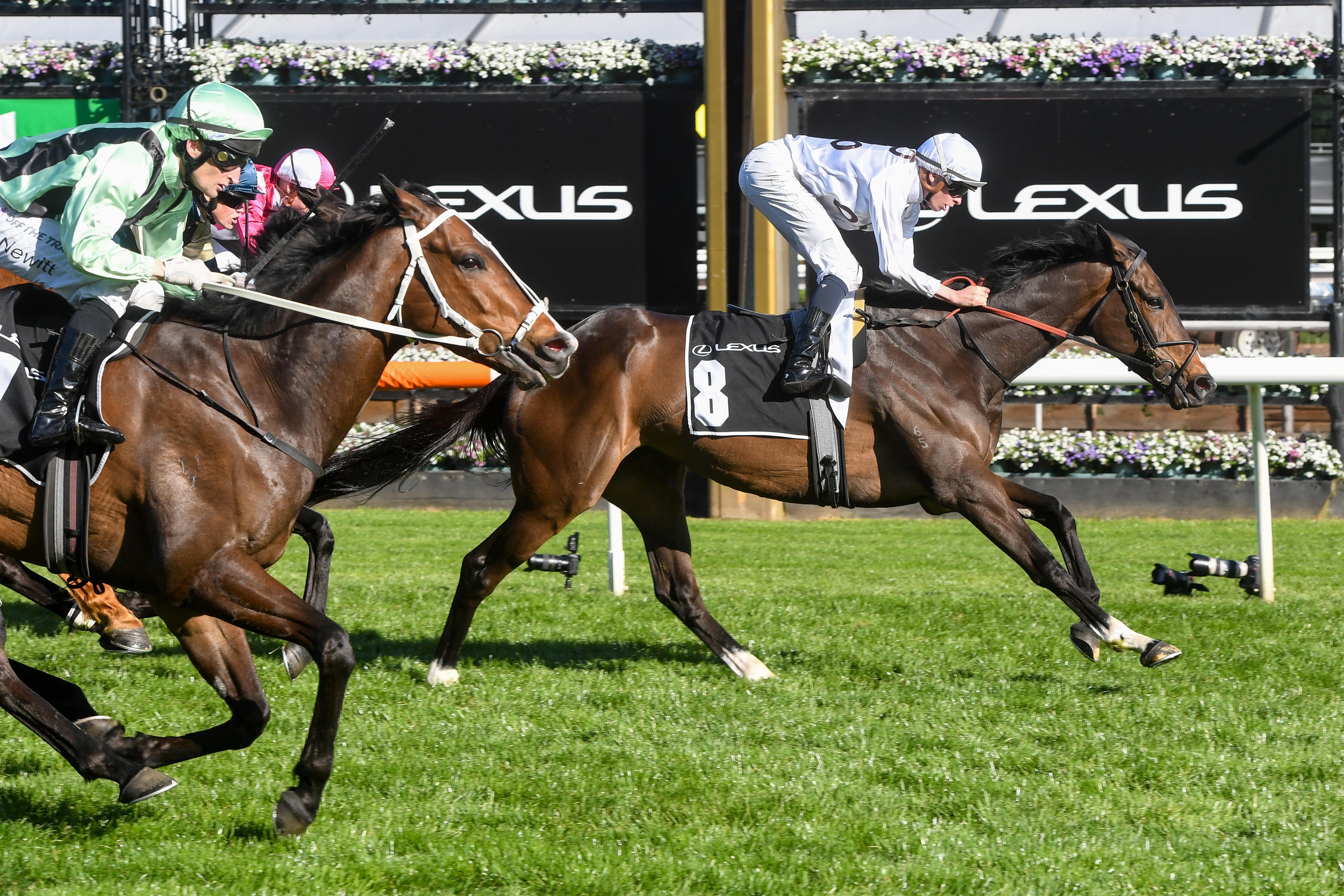 When patience pays off with Lunar Flare