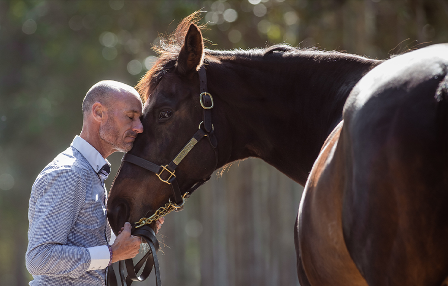 Makybe Diva – From champion to legend