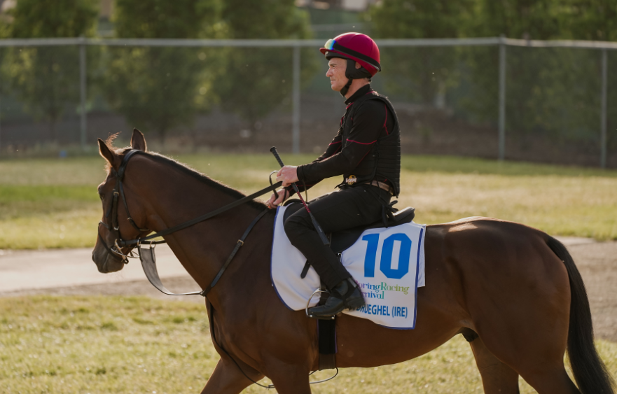 Jan Brueghel: Ballydoyle’s best Cup chance