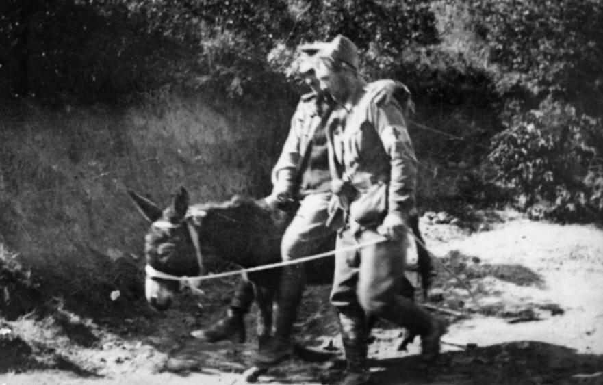 A tribute to courage: Picnic jockey Rob Kirkpatrick’s link to a war hero and his donkey