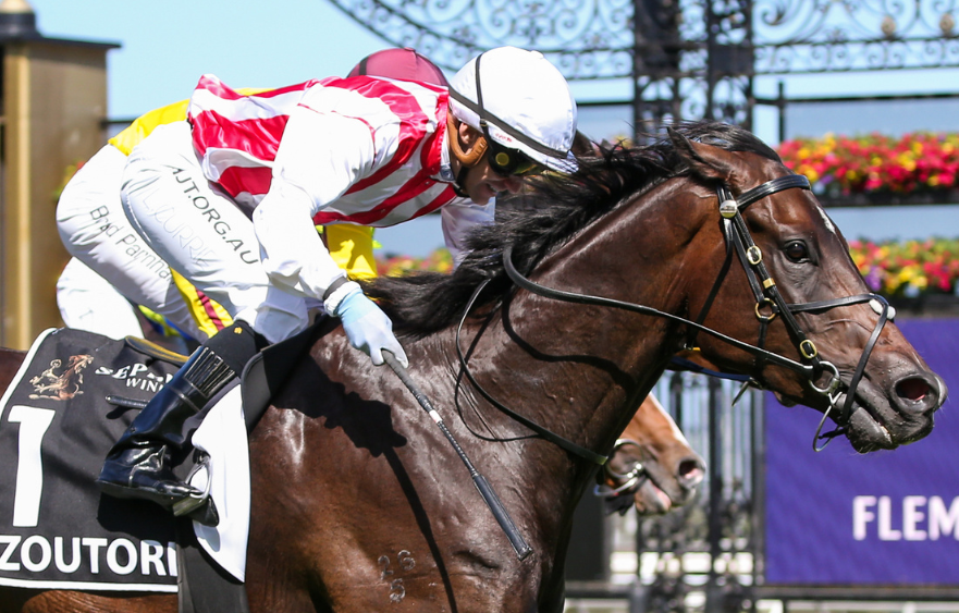 From track triumphs to tranquil pastures for Zoutori