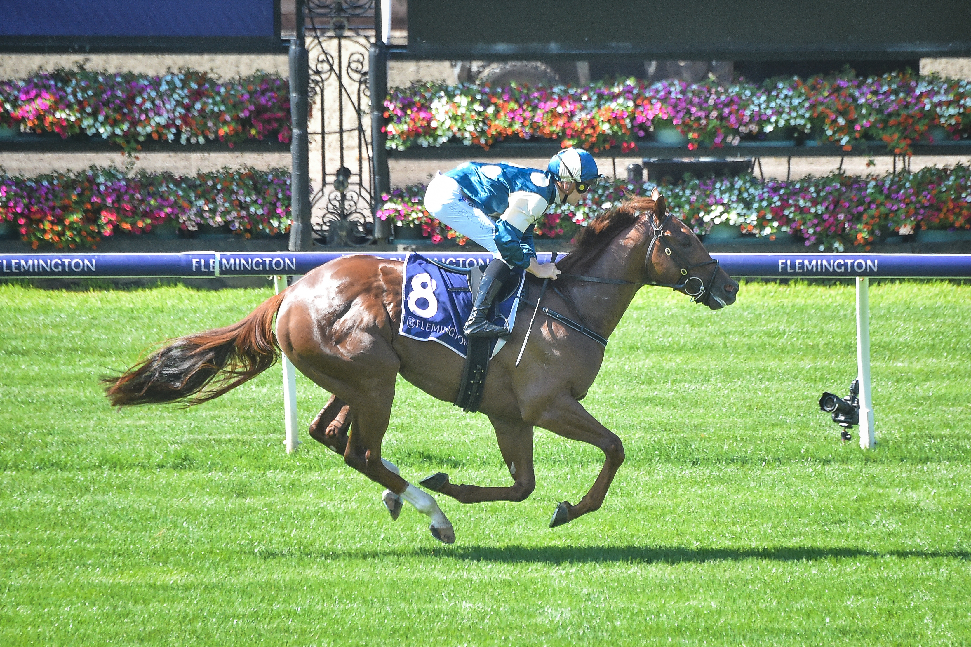 Veecee lands debut win at Flemington
