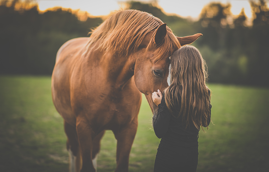 Healing with horses