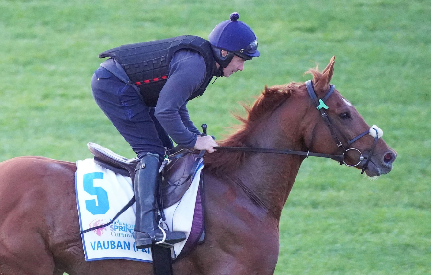 Vauban: Everyone seems to think he will win - now he must prove them right