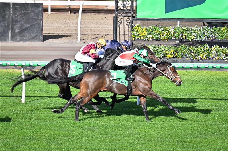 A look back on VRC Country Raceday