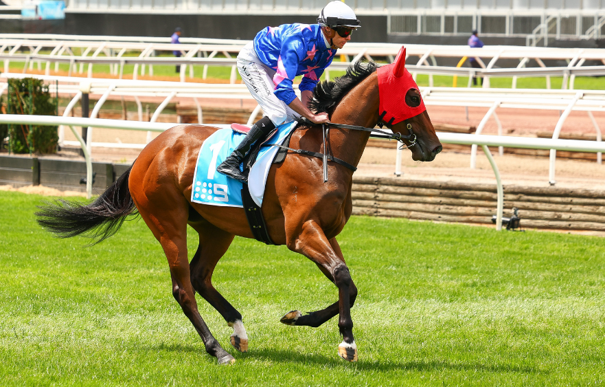 Sutton chases elusive Stakes victory