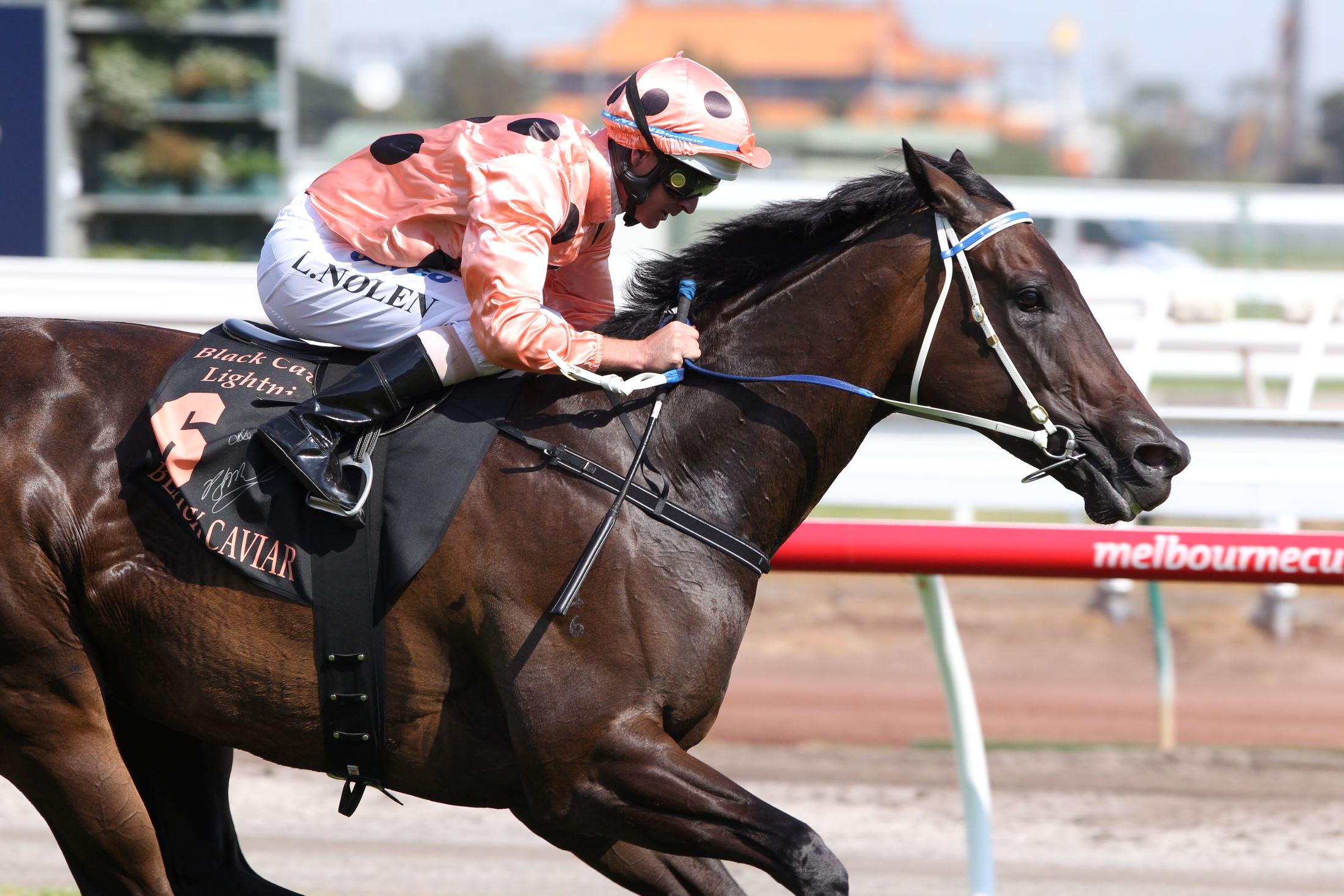 Black Caviar: Simply the Best