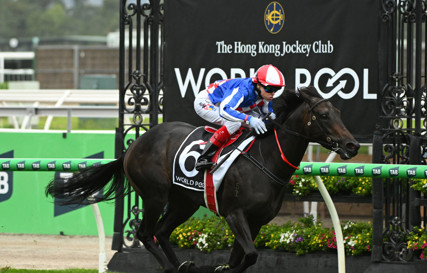 Star NZ filly prevails at Flemington
