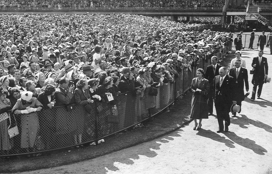 All the Queen's horses