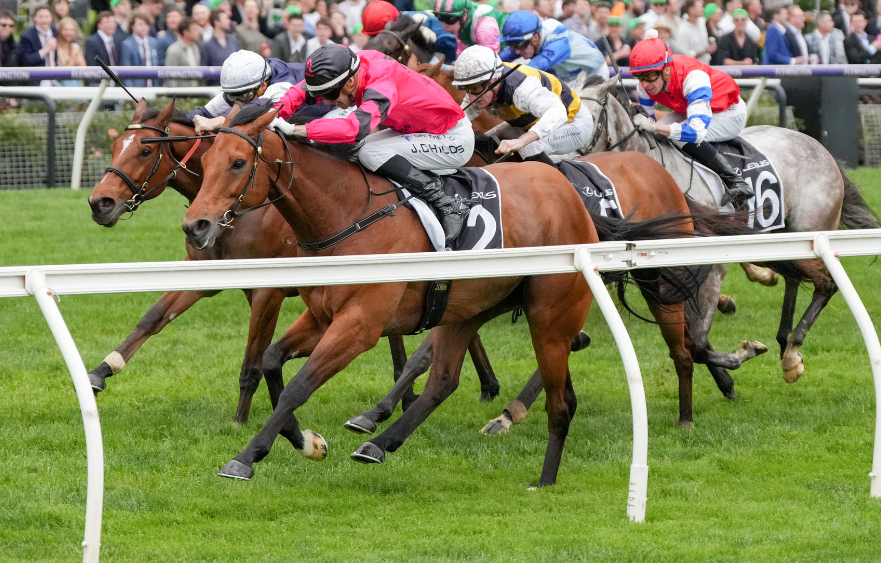 A Lexus Melbourne Cup start is Just Fine