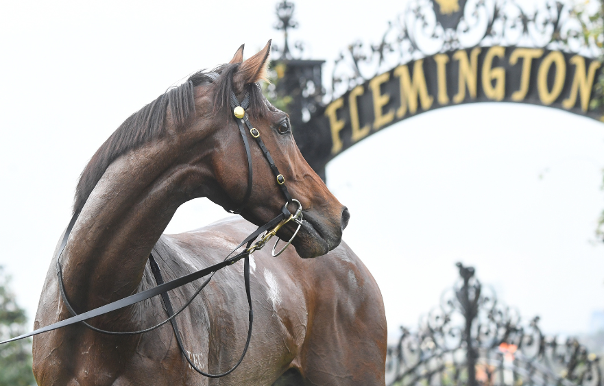 Free entry for local community at Flemington on Saturday