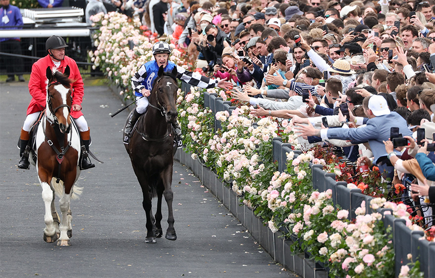 “Glorious” Melbourne Cup Carnival takes Victoria to the world