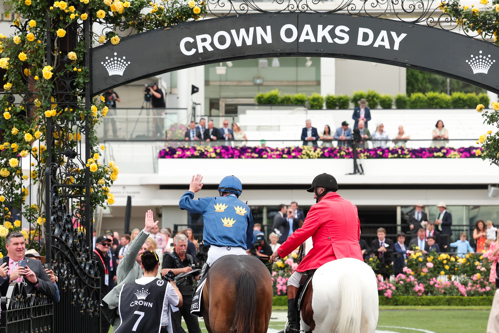 Strictly Business with Johnny Allen on board making its way back into the mounting yard after its win.