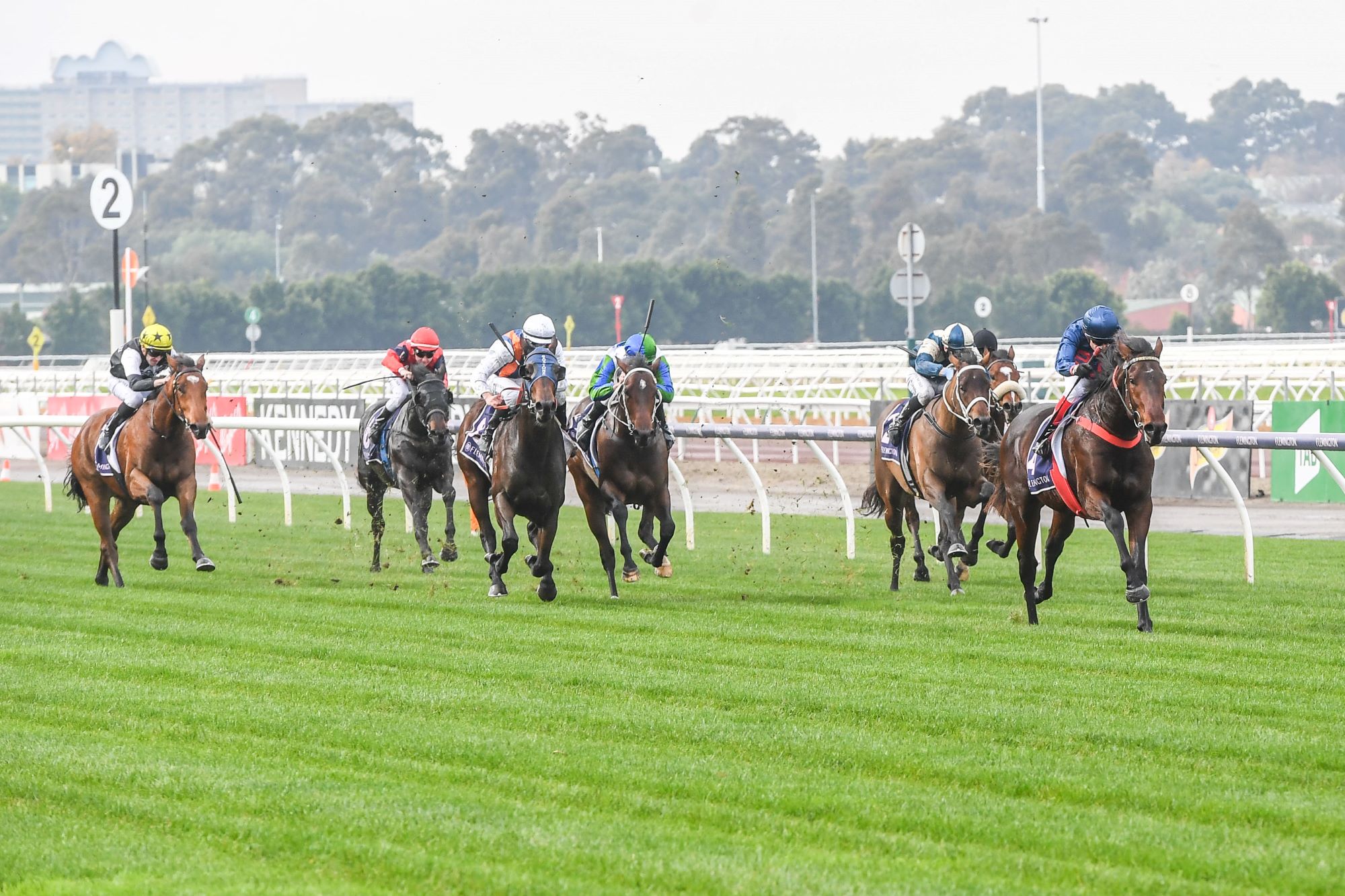 Sunsource out for redemption at Flemington