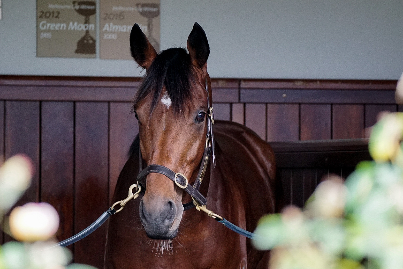 Point Nepean wins Golden Ticket into 2022 Lexus Melbourne Cup