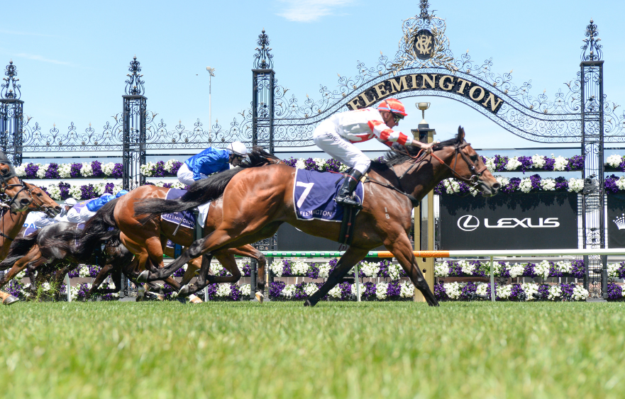 Lightning likely for Way To The Stars