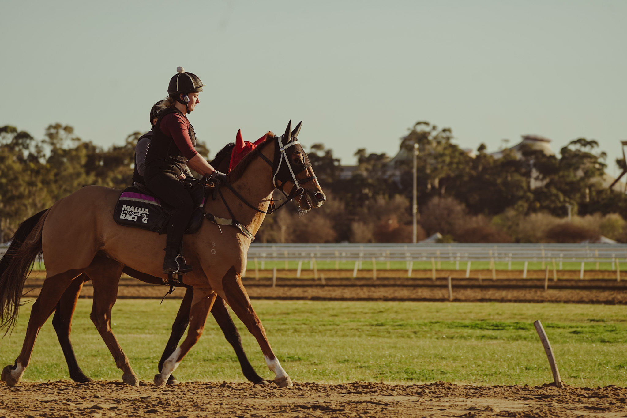 Finding a stable home