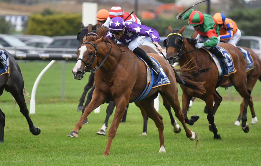 Much travelled galloper makes Flemington debut