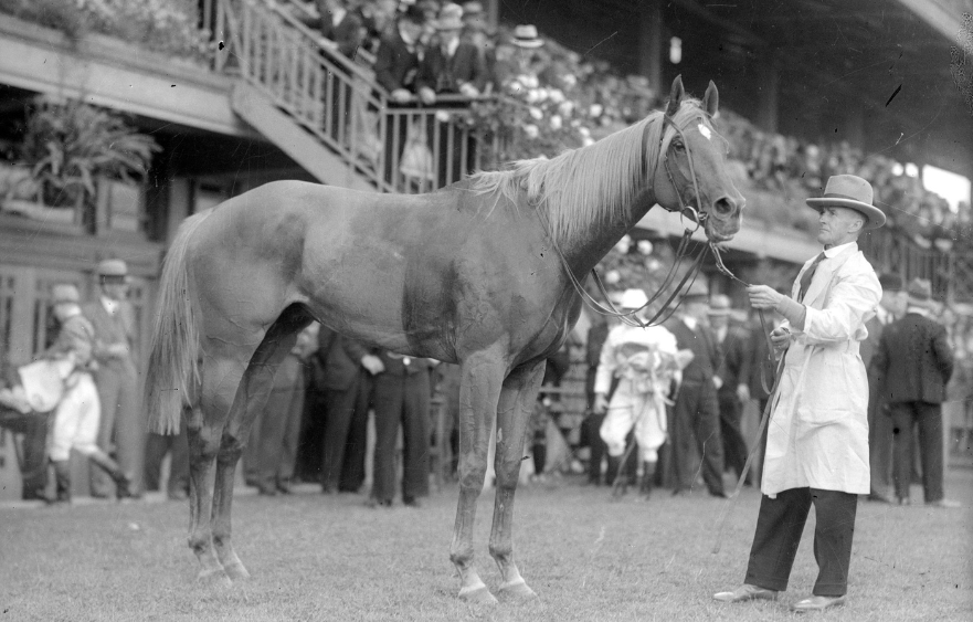 Peter Pan:  1934 Melbourne Cup