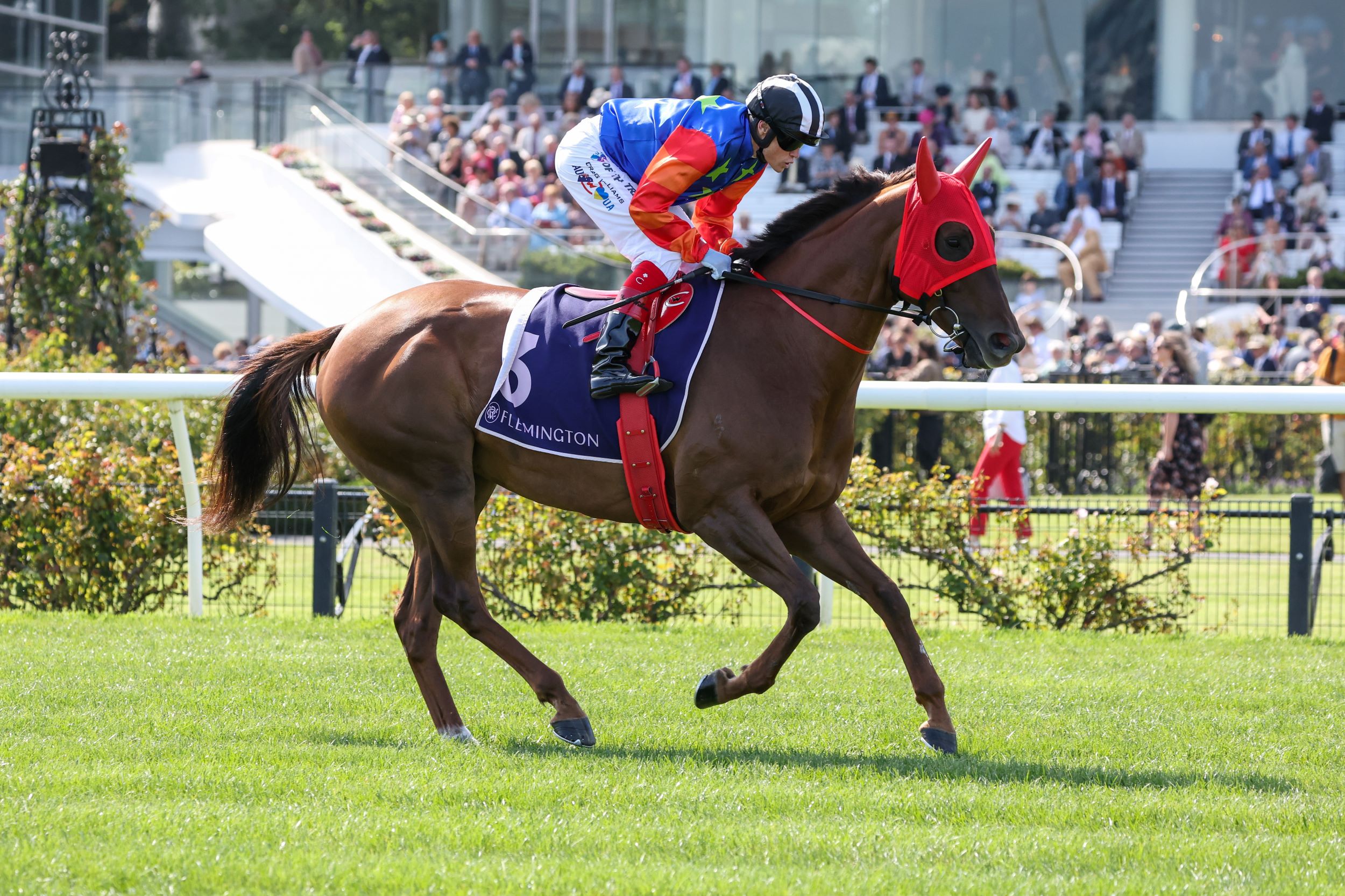 Bella Nipotina returns to Flemington for Darley Champions Sprint