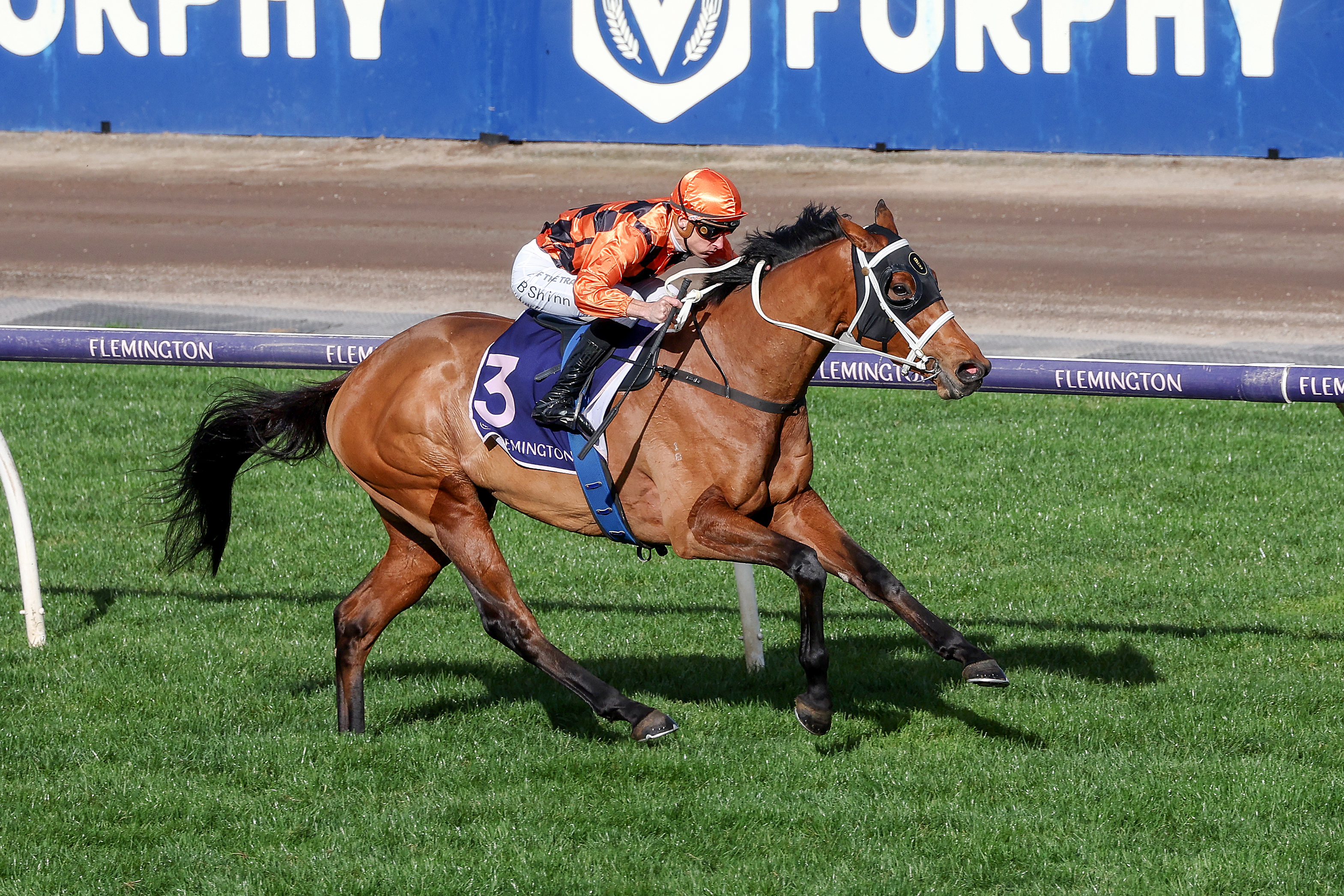Shaiyhar steps out in trip at Flemington