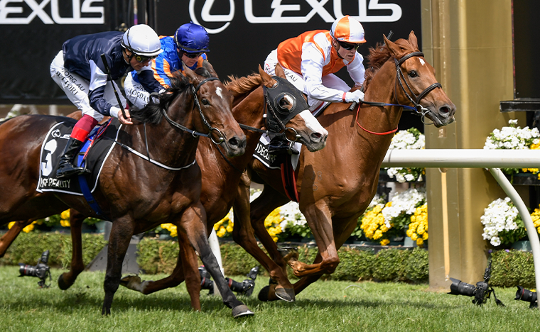 2019 Melbourne Cup: Vow And Declare