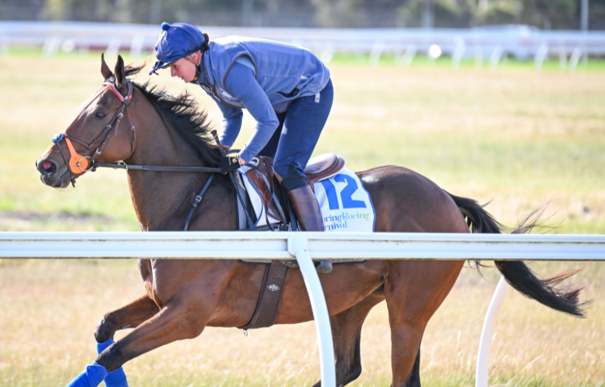 Mullins chasing rare double
