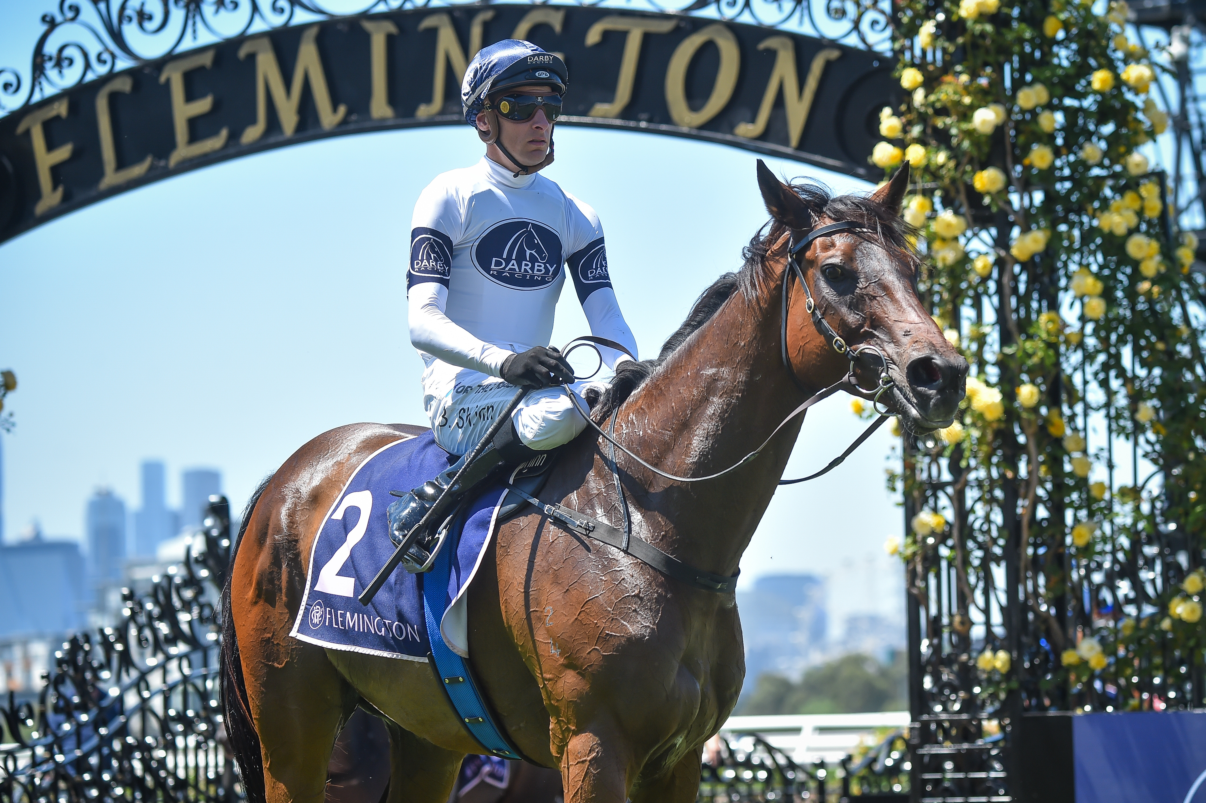 Shinn back in winning form