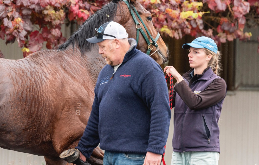 Stable first aid: the basics