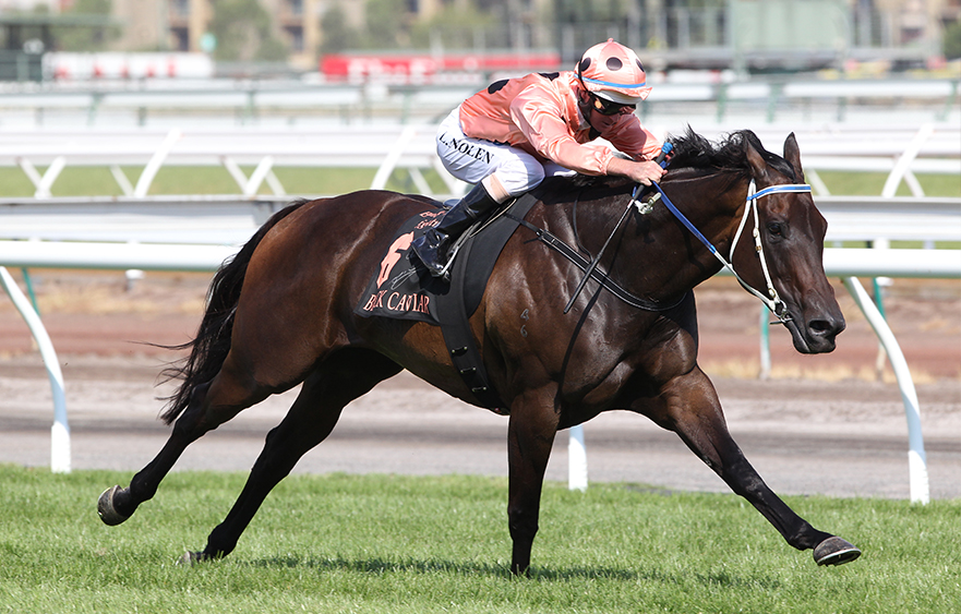 Black Caviar: Best of the best