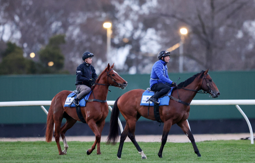 Oliver and Cummings chase milestone win