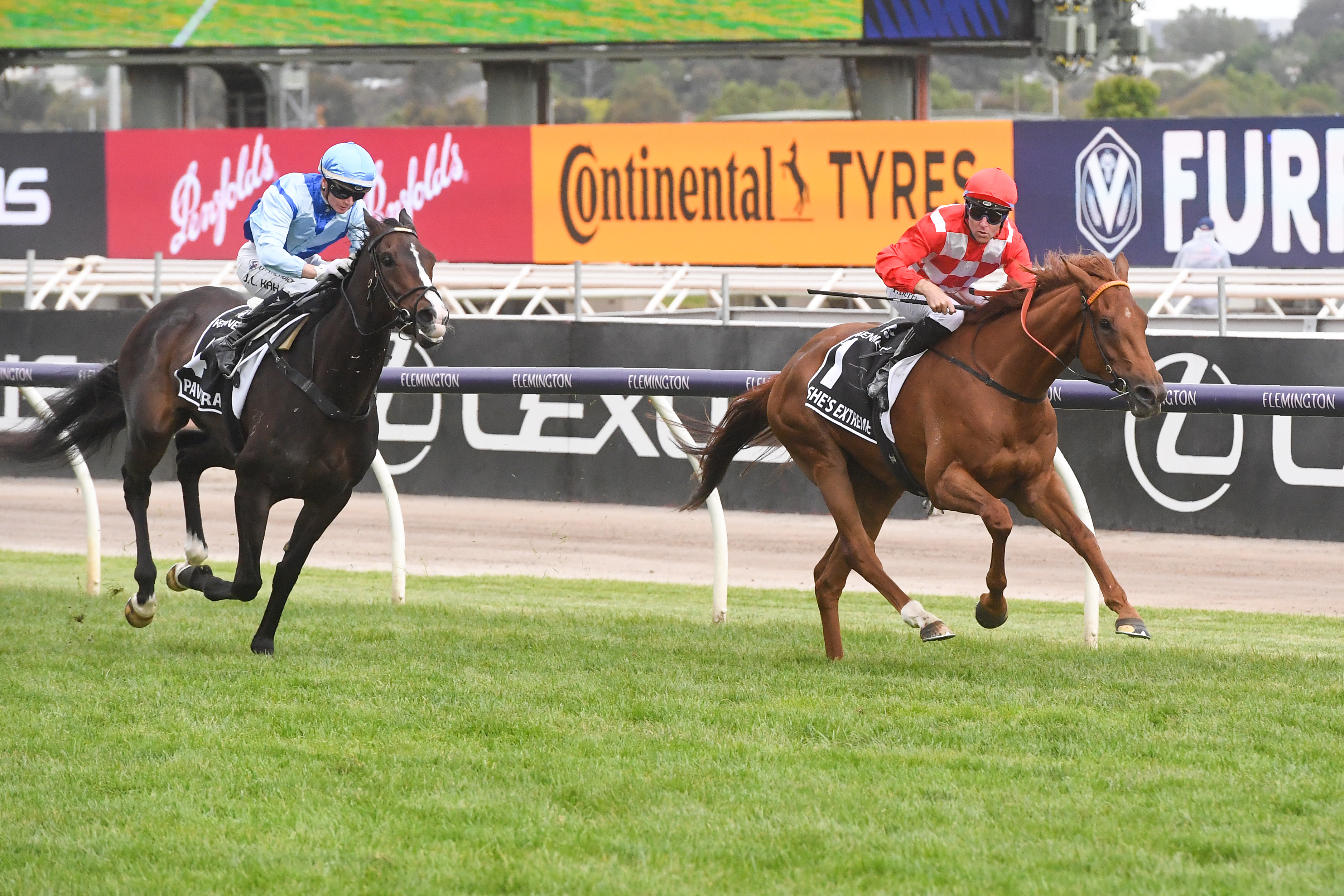 Cummings legacy lives on in Kennedy Oaks