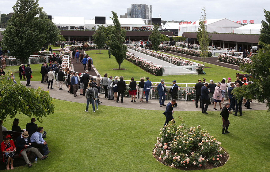 Members in the spotlight as season ends at Flemington