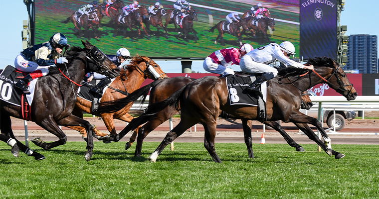 Golden Ticket up for grabs in Lexus Melbourne Cup qualifier at Flemington