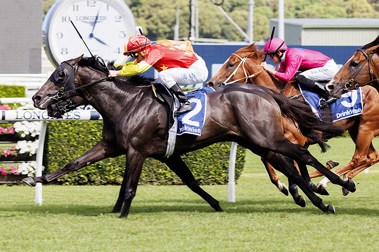 Aussie raiders eyeing off Ascot's Platinum Jubilee