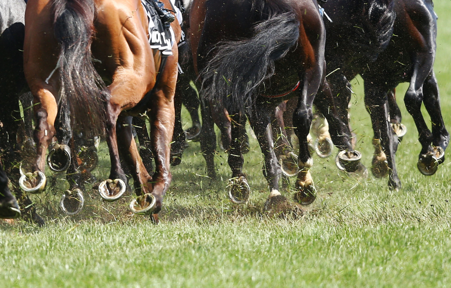 Lexus Melbourne Cup form guide