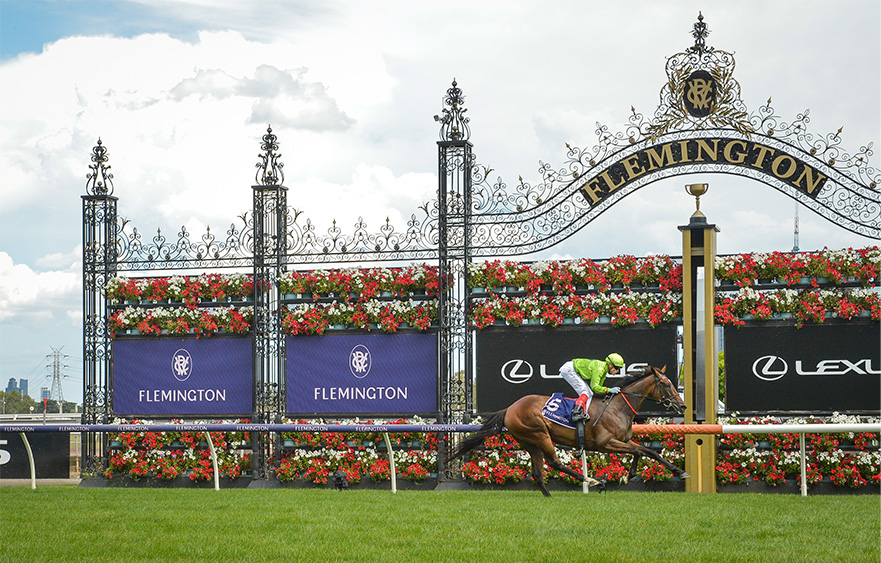 Tralee back amongst the roses